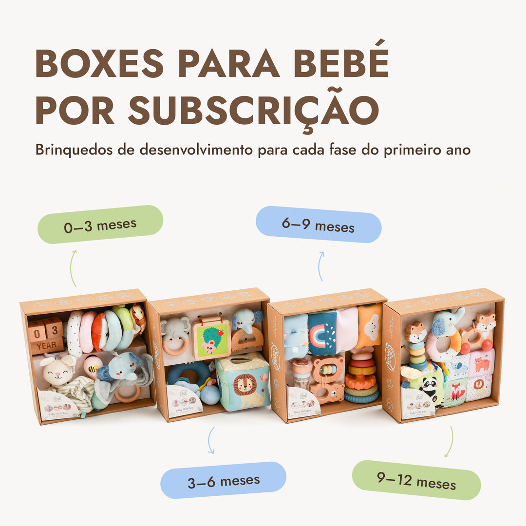BabyBox — Kits de Brincadeira para o Primeiro Ano (0–12 meses)