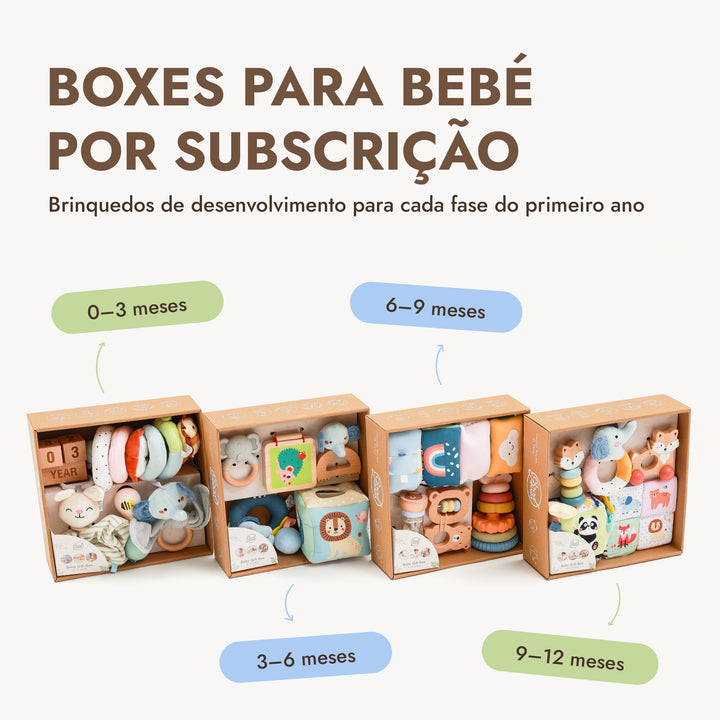 BabyBox — Kits de Brincadeira para o Primeiro Ano (0–12 meses)