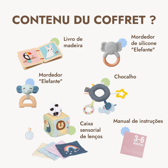 BabyBox — Kits de Brincadeira para o Primeiro Ano (0–12 meses)