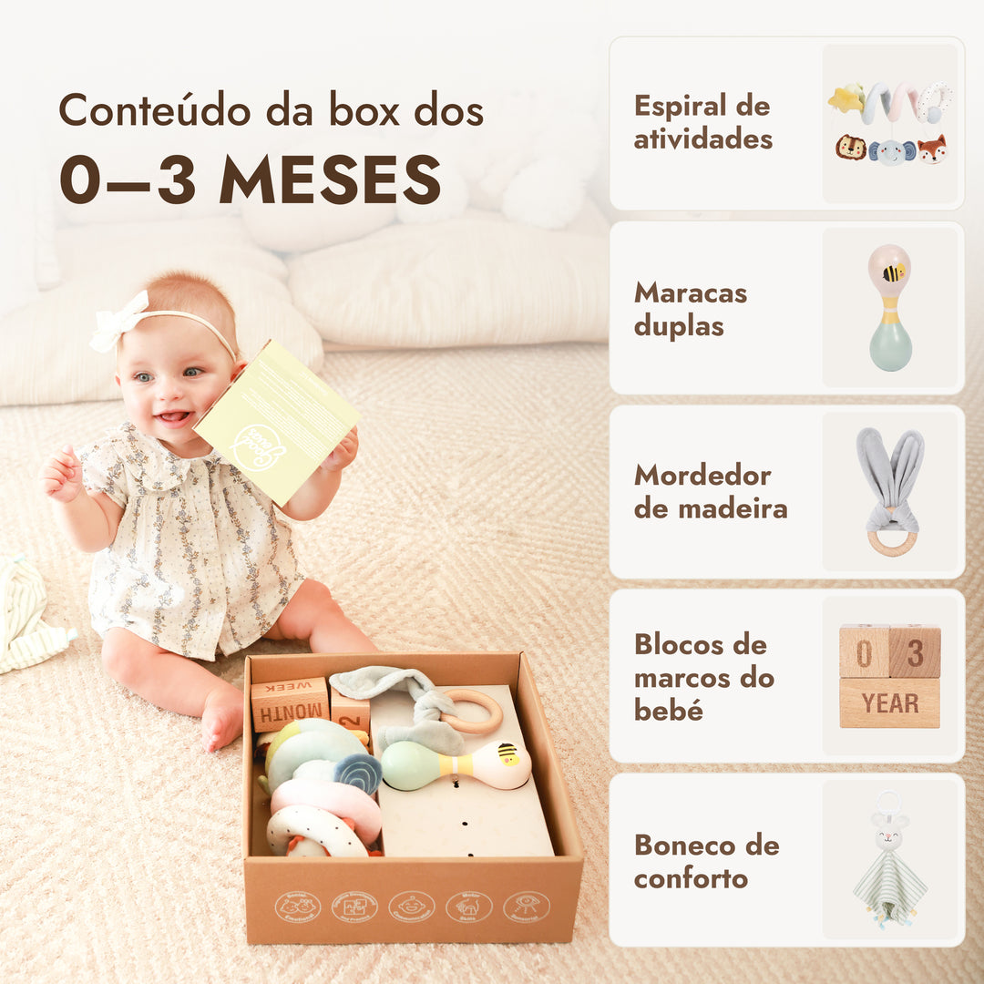 BabyBox — Kits de Brincadeira para o Primeiro Ano (0–12 meses)