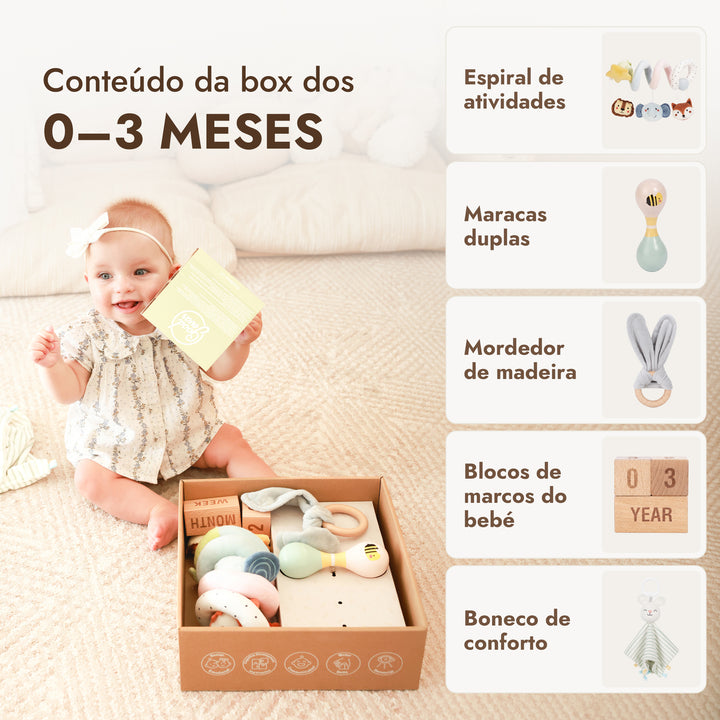 BabyBox — Kits de Brincadeira para o Primeiro Ano (0–12 meses)