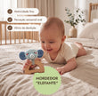 BabyBox — Kits de Brincadeira para o Primeiro Ano (0–12 meses)