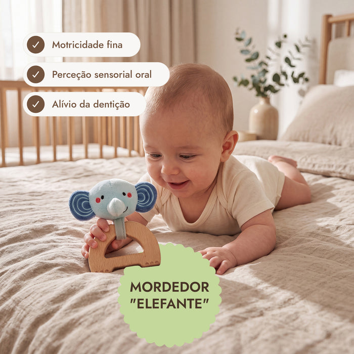 BabyBox — Kits de Brincadeira para o Primeiro Ano (0–12 meses)