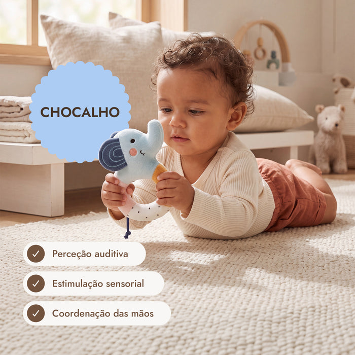 BabyBox — Kits de Brincadeira para o Primeiro Ano (0–12 meses)